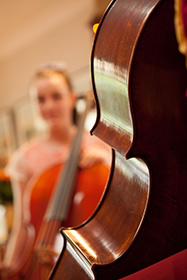 Start learning cello